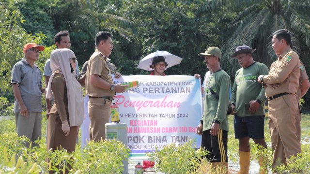 Tangani Inflasi, Pemkab Luwu Serahkan Bantuan Bibit Cabai Dan Itik Ke Petani