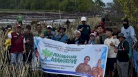 DKP Sulsel Bersama Masyarakat Pelestari Lingkungan Tanam 40 Ribu Batang Mangrove di Pesisir Wajo