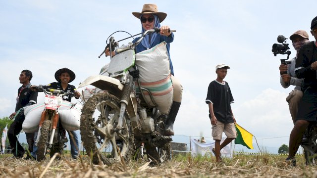 Meriahkan Pesta Panen, Bupati Luwu Utara Ikut Balap Ojek Gabah