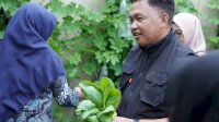 Ibu – ibu di Bantaeng Kembangkan Pertanian Organik di Pekaranagan