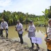 Pemda Lutra Tanam 5000 mangrove di 300 Hektar Pesisir