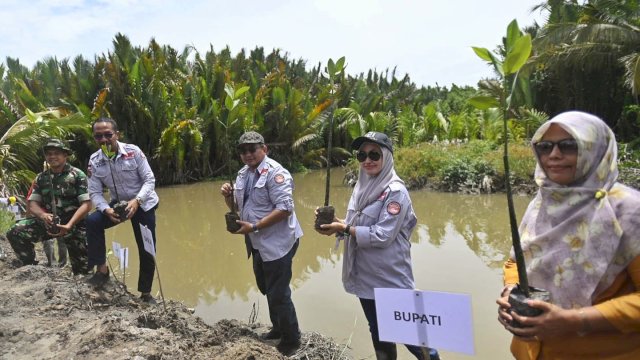 Pemda Lutra Tanam 5000 mangrove di 300 Hektar Pesisir