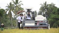 Hasil Penen meningkat 1.56 Ton/Ha, Indah Apresiasi pengunaan ge-lite korea oleh petani