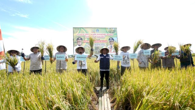 Gubernur Sulawesi Selatan, Andi Sudirman Sulaiman melakukan panen padi melalui benih program Mandiri Benih di Desa Palakka, Kecamatan Kahu, Kabupaten Bone, Kamis 9 Maret 2023.