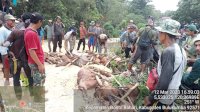 25 Ekor Babi Ditembak Mati di Tanah Lemo Bontobahari