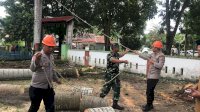 Brimob Bone dan Koramil Barebbo Kompak Satu Hati Tumbangkan Pohon di Kantor Camat Barebbo