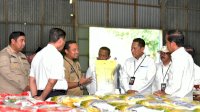 Tinjau Gudang Bulog, Presiden Jokowi: Beras Sulsel Banyak Diserap Provinsi Lain
