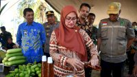 Tamatan SMA, Pemuda Malbar Luwu Utara Ini Produksi Gula Sagu 5 Liter per Hari