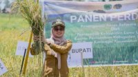 Kalahkan Pasangan Kepala PD, ASN Distan Juara 1 Lomba Domino Campuran