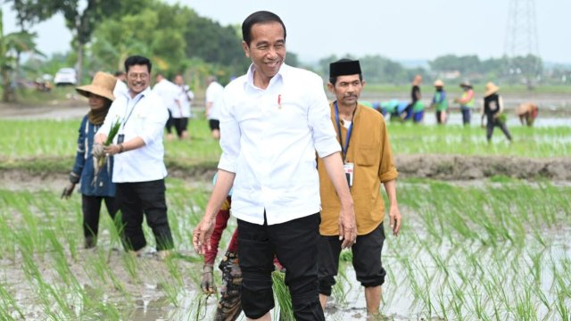 Digelar Secara Tertutup Jokowi Bertemu SYL