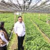 Gantarangkeke Jadi Pusat Penangkaran Benih Kelapa dan Kopi di Sulsel