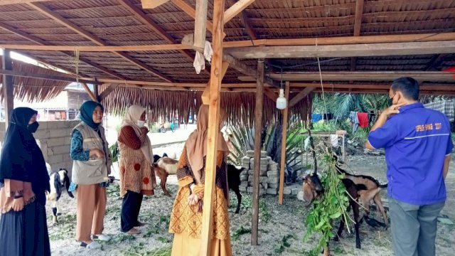 Jelang Idul Adha, Dinas Pertanian Luwu Utara Pastikan Ketersediaan Hewan Kurban Terpenuhi