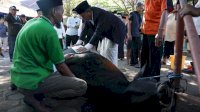 Sembelih Dua Ekor Hewan Kurban, Danny Pomanto Langsung Jamu Tamu