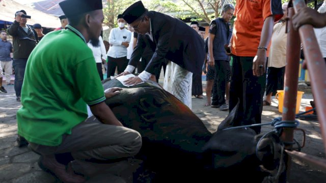 Sembelih Dua Ekor Hewan Kurban, Danny Pomanto Langsung Jamu Tamu