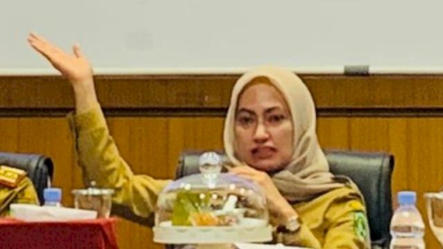 Bupati Luwu Utara, Indah Putri Indriani, berharap desa Maipi menjadi model Desa Tangguh Bencana (Destana), tidak hanya di tingkat Provinsi Sulawesi Selatan, tetapi juga di tingkat nasional. 
