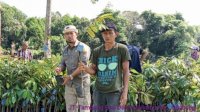 Kementerian Pertanian Bangun Kampung Hortikultura di Luwu Utara, Ini Lokasinya