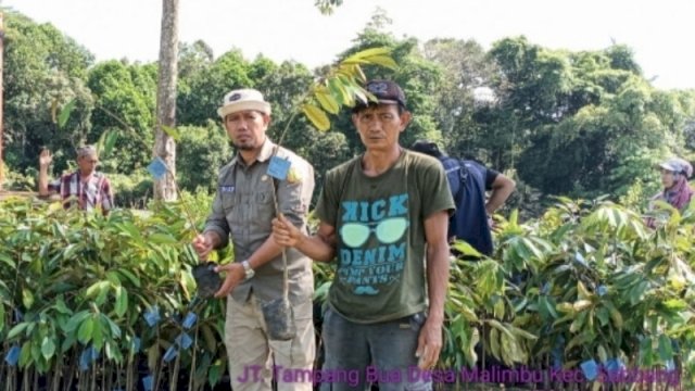 Kementerian Pertanian (Kementan) Republik Indonesia melalui Direktorat Jenderal (Ditjen) Hortikultura memberikan bantuan ribuan bibit pohon jeruk dan durian kepada Dinas Pertanian Kabupaten Luwu Utara untuk disebar secara merata di beberapa desa.