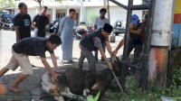 Bapenda Makassar Berbagi Daging Hewan Kurban ke Warga Kurang Mampu
