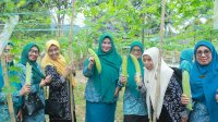 Sambut Tim SMEP PKK Provinsi, Hj Hayarna : Evaluasi Bentuk Motivasi Peningkatan Kinerja