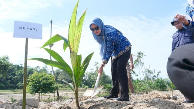 Bupati Lutra Tanam Pohon di Bantaran Sungai Masamba