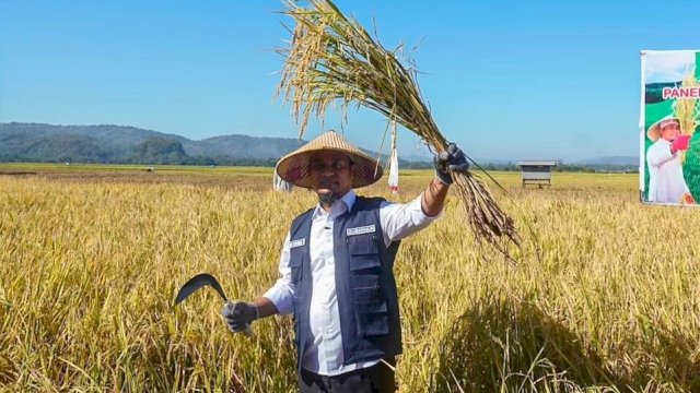 Bersama Petani, Gubernur Andi Sudirman Panen dan Tanam Mandiri Benih Padi di Maros