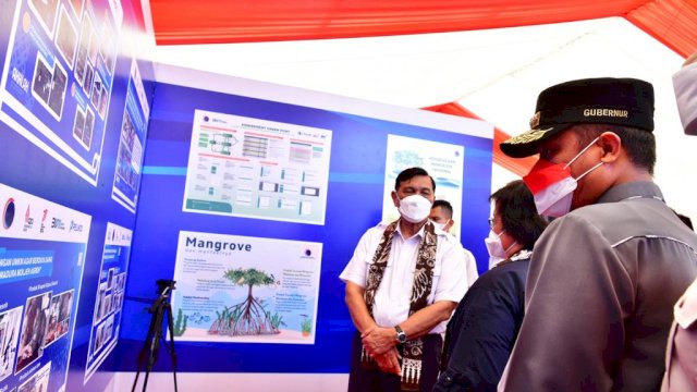 Di Era Gubernur Andi Sudirman, Masif Dilakukan Penanaman Mangrove di Wilayah Pesisir Sulsel