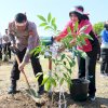 Polri Catat Rekor MURI Tanam Pohon Serentak Dan Terbanyak, Jajaran Polda Sulsel Tanam 41.086 Pohon