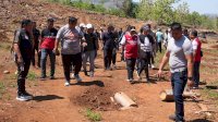 Pj Gubernur Bahtiar Tinjau Perkebunan di Desa Swasembada Toddopulia, Dorong Gerakan Gemar Menanam Pisang