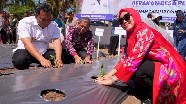 Sofha Marwah Bahtiar Mulai Gerakan Tanam Cabai di Kabupaten Wajo