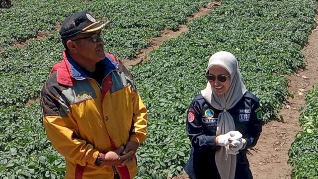 Kecamatan Bongko Miliki Potensi Budidaya Kentang