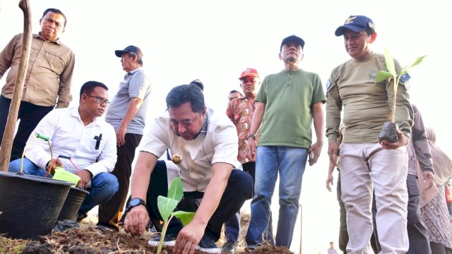 Pj Gubernur Sulsel Usulkan Pemanfaatan Dana Desa untuk Budidaya Pisang dan Rumpon Ikan&nbsp;