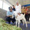 Di Sela HUT Ke-354 Sulsel, Pj Gubernur Bahtiar Kunjungi Peternakan Ayam dan Kambing di Gowa