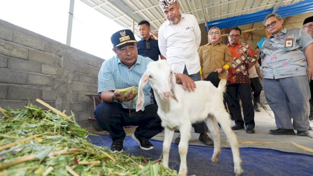 Di Sela HUT Ke-354 Sulsel, Pj Gubernur Bahtiar Kunjungi Peternakan Ayam dan Kambing di Gowa