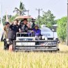 Pj Gubernur Bahtiar Panen Raya Padi Bersama Petani di Tengah El Nino