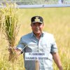 Panen Raya di Gowa, Sulsel Sukses Tangani Dampak El Nino