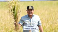 Panen Raya di Gowa, Sulsel Sukses Tangani Dampak El Nino