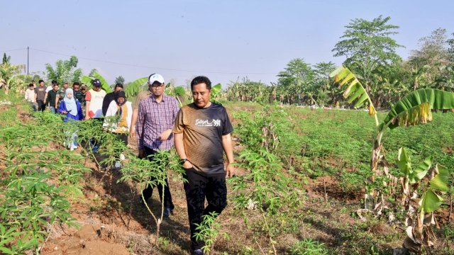 Pj.Gubernur Tinjau 23 Hektar Lahan Percontohan Budidaya Pisang dan Nanas di Pattallasang Gowa