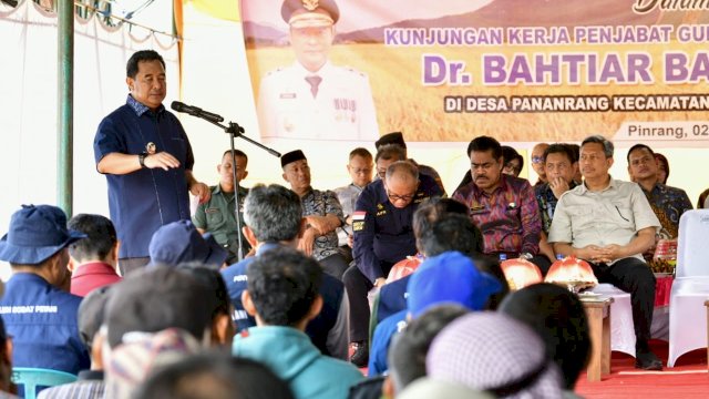 Petani Pinrang Pesta Panen Padi di Musim Kemarau, Pj Gubernur Optimistis Surplus 2 Juta Ton Beras Tercapai
