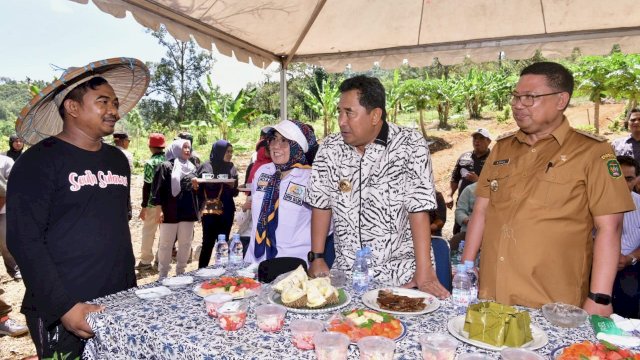 Miliki Cita Rasa yang Khas, Kopi Latimojong Harus Dikembangkan