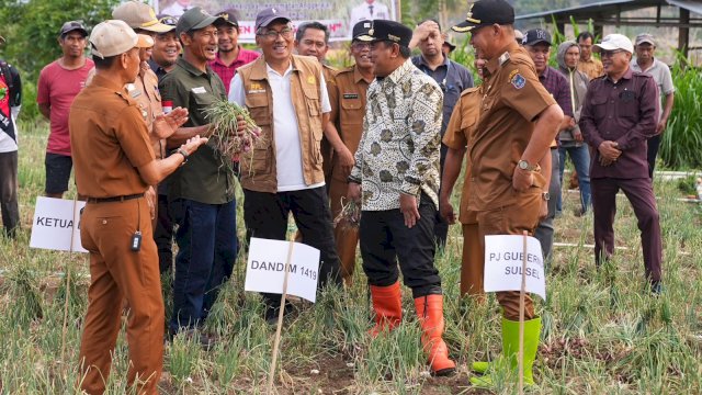 Produksi Bawang Merah Berkurang Karena El Nino, Pemprov Sulsel Bakal Bantu Sumur Bor untuk Petani Enrekang