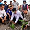 Pemkab Sidrap Siapkan 1.500 Hektar Lahan Untuk Budidaya Pisang