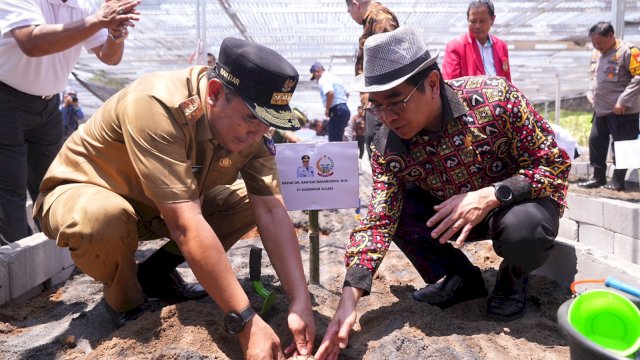 Pemkab Gowa Siapkan Lahan 3.600 Hektar untuk Budidaya Pisang Cavendish