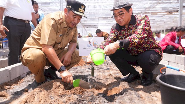 Jutaan Bibit Pisang Cavendish Dilaunching di Pusat Pembibitan Unhas