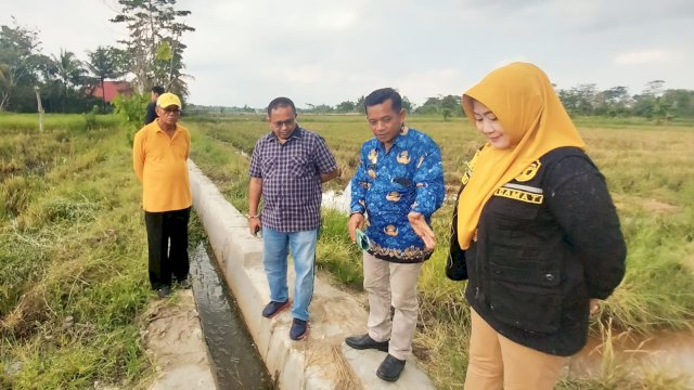 Muhammad Fauzi Tinjau Pembangunan Irigasi Pertanian di Lutra
