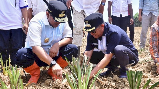 Tingkatkan Ketahanan Pangan, 50.000 Benih Nila Dilepas di Embung Kecamatan Mare