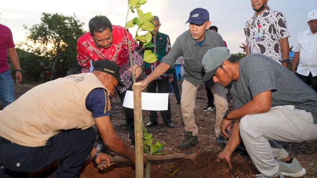 Tanam Bibit Nangka Madu di Bulukumba, Pj Gubernur Bahtiar: Jangan Biarkan Lahan Kosong