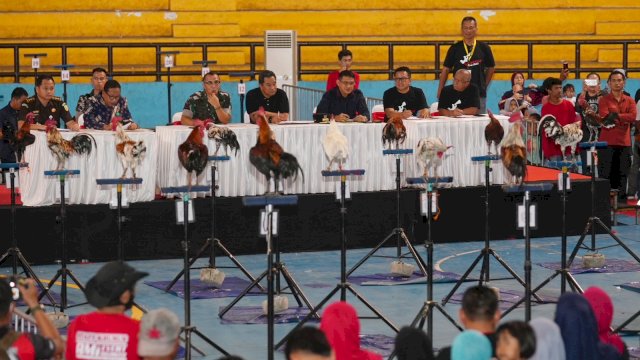 Pangdam XIV/Hassanudidin, Mayjen TNI Totok Imam Santoso mengakui, lomba dan kontes ayam ketawa Gubernur Cup 2023 ini sebagai awal dari kebangkitan ayam ketawa di Provinsi Sulsel.