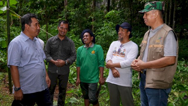 Jaga Kelestarian Kawasan Geopark, 10 Ribu Pohon Sukun Bakal Ditanam di Rammang-rammang