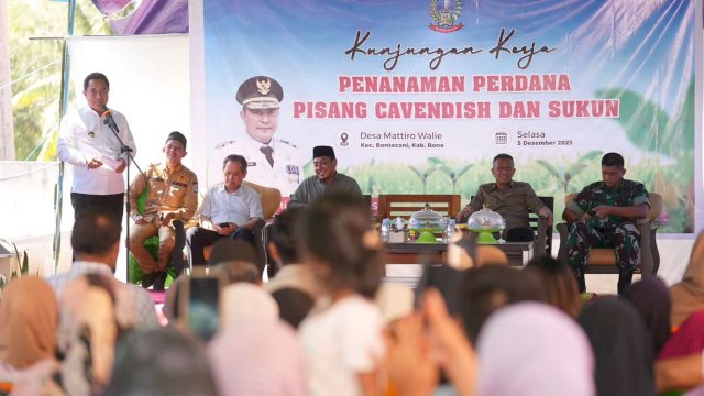 Penjabat Gubernur Sulsel, Bahtiar Baharuddin, mengajak masyarakat Desa Mattiro Walie, Kecamatan Bontocani, Kabupaten Bone, meningkatkan kesejahteraannya melalui program budidaya penanaman pisang cavendish, sukun, dan nangka madu.&nbsp;