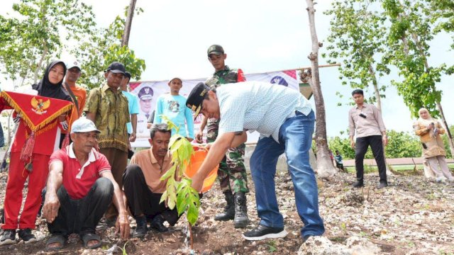 Program penanaman pohon sukun Penjabat Gubernur Provinsi Sulsel, Bahtiar Baharuddin mendapatkan apresiasi dari sejumlah masyarakat di Kelurahan Mampotu, Kecamatan Amali, Kabupaten Bone, Sabtu, 16 Desember 2023.&nbsp;